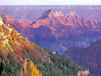 Grand Canyon National Park Vacations